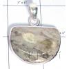 KPLL09145 Amazing White Metal Petrifywood Pendant