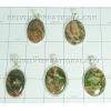 KWLL09012 Lot of 100 gms (3.53 oz) Unakite Pendants